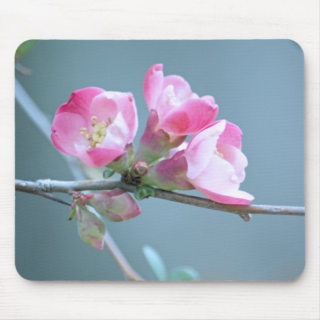 Alfombrilla De Ratón Apple Blossom #P0358 Mousepad (Frente)