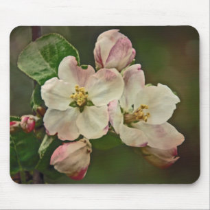 Alfombrilla De Ratón Apple Blossom Time