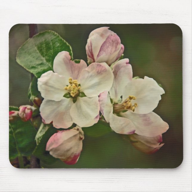 Alfombrilla De Ratón Apple Blossom Time (Frente)