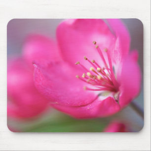 Alfombrilla De Ratón Apple florece Mousepad