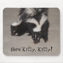 ¡Aquí gatito, gatito!