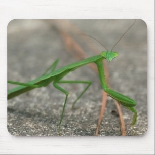 Alfombrilla De Ratón Aquí le está mirando Mousepad (oblicuo)