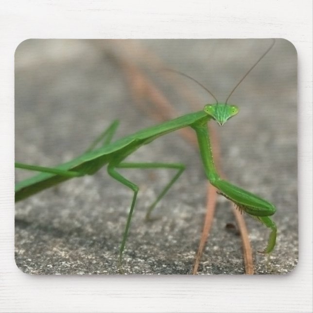 Alfombrilla De Ratón Aquí le está mirando Mousepad (oblicuo) (Frente)