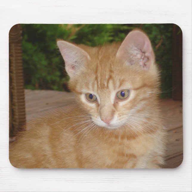 Alfombrilla De Ratón ¡Aquí, Mousey, Mousey! (Frente)