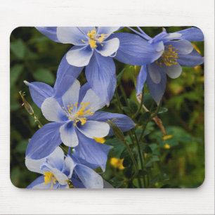 Alfombrilla De Ratón Aquilegia azul de Colorado cerca de Telluride Colo
