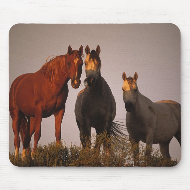 Alfombrilla De Ratón Árabes en la puesta del sol (Frente)