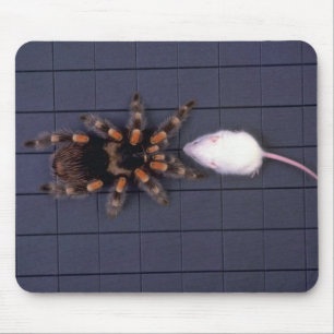 Alfombrilla De Ratón Araña asustadiza del Tarantula y ratón blanco