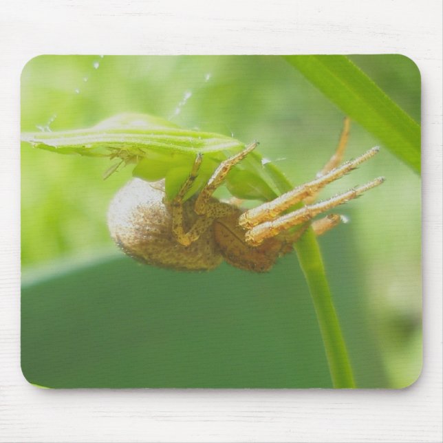 Alfombrilla De Ratón Araña de cangrejo Thomisid Mousepad (Frente)