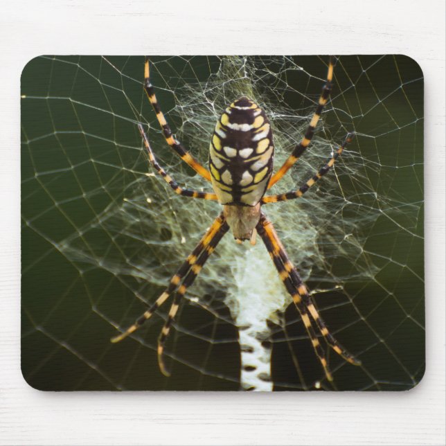 Alfombrilla De Ratón Araña de jardín amarillo (Frente)