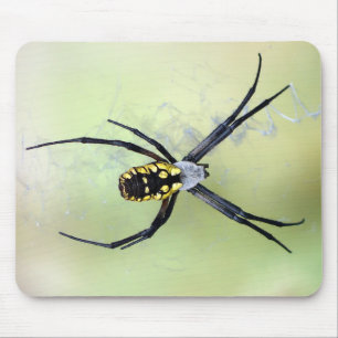 Alfombrilla De Ratón Araña de jardín negra y amarilla del Argiope