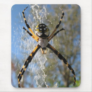 Alfombrilla De Ratón Araña del Argiope