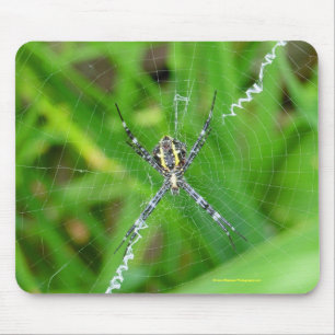 Alfombrilla De Ratón Araña del bastón - mousepad grande de la isla
