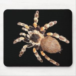 Alfombrilla De Ratón Araña del Tarantula