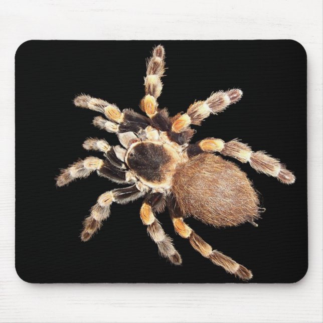 Alfombrilla De Ratón Araña del Tarantula (Frente)
