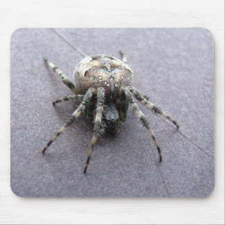 Alfombrilla De Ratón araña gris grande