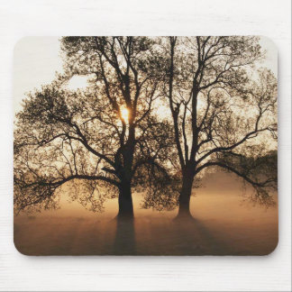 Alfombrilla De Ratón Árbol