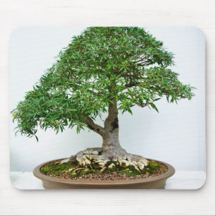 Alfombrilla De Ratón Árbol Bonsai Japonés en Maceta Oval Poco Profunda