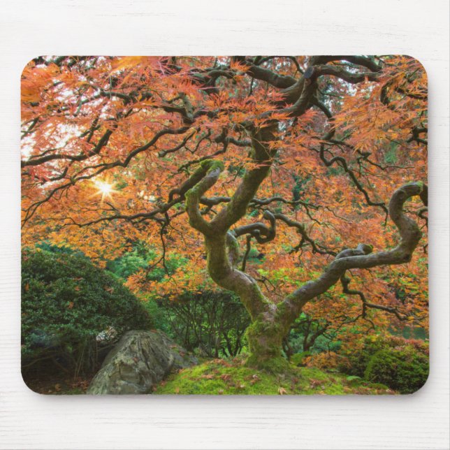 Alfombrilla De Ratón Árbol De Arce En Los Jardines Japoneses En Otoño (Frente)
