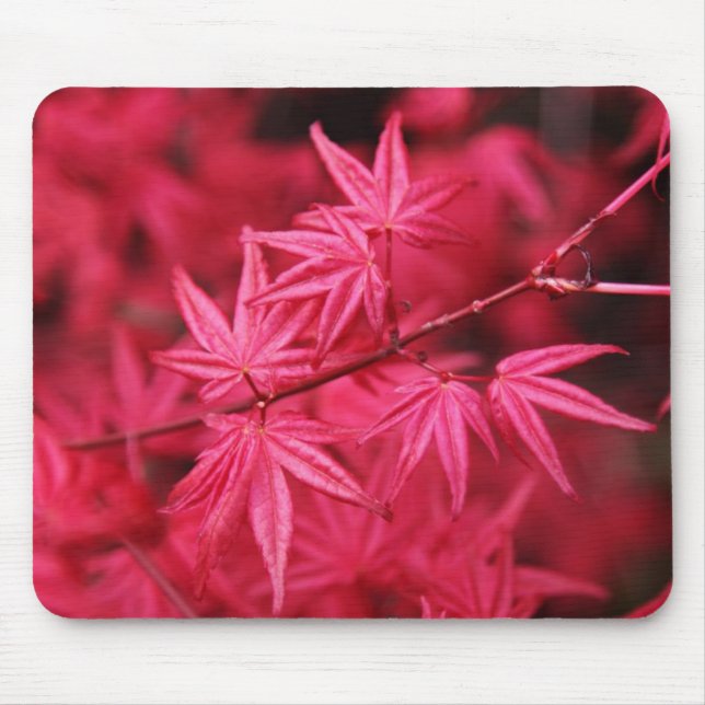 Alfombrilla De Ratón Árbol de arce Mousepad-Rojo (Frente)
