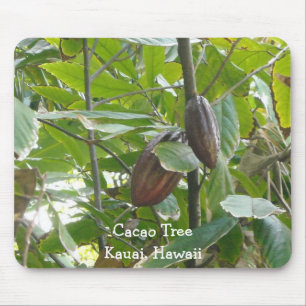 Alfombrilla De Ratón Árbol de cacao, Kauai, Hawái