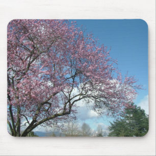 Alfombrilla De Ratón Árbol de cerezo rosa y cielo azul, nubes blancas