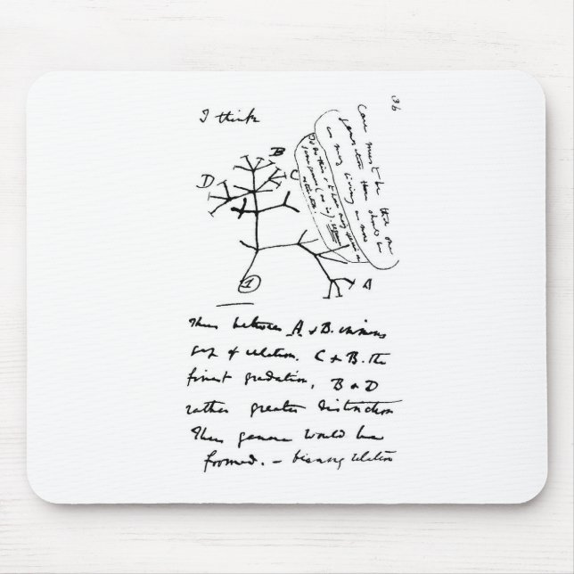 Alfombrilla De Ratón Árbol de Darwin (Frente)