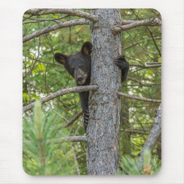Alfombrilla De Ratón Árbol de escalada del cubo del oso (Frente)