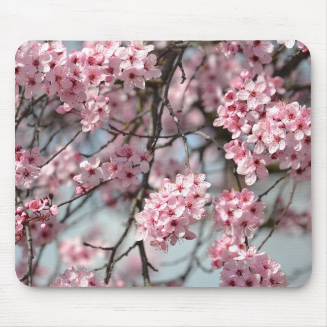 Alfombrilla De Ratón Árbol de flores de cerezo rosado (Frente)