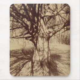 Alfombrilla De Ratón Árbol de haya (por Eugène Atget)