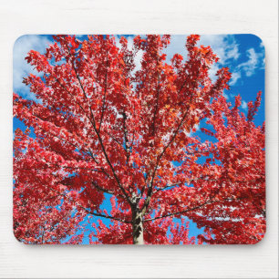 Alfombrilla De Ratón Árbol de hojas rojas en otoño