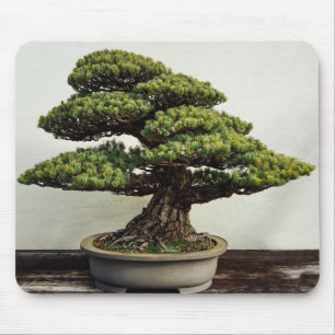 Alfombrilla De Ratón Árbol de los bonsais de White Pine del japonés