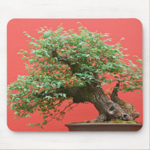 Alfombrilla De Ratón Árbol de los bonsais de Zelkova