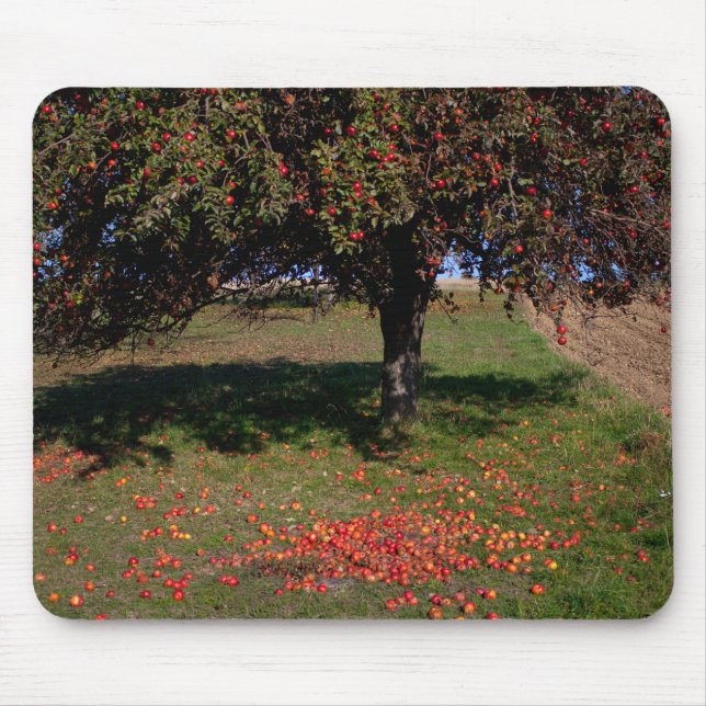 Alfombrilla De Ratón Árbol de manzanas antiguo (Frente)