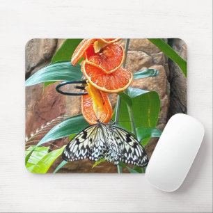 Alfombrilla De Ratón Árbol De Mariposas Nymph Alimentando A Los Naranja
