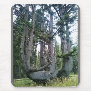 Alfombrilla De Ratón Árbol de pulpo, meares de Cabo, orregón
