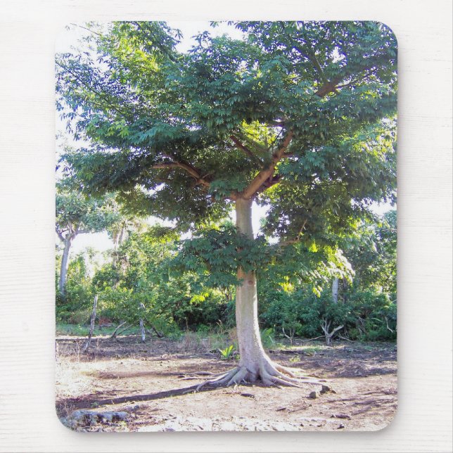 Alfombrilla De Ratón Árbol de Sabiduría-mousepad (Frente)