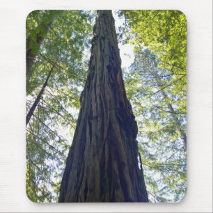 Alfombrilla De Ratón Árbol de secuoya gigante sin fin