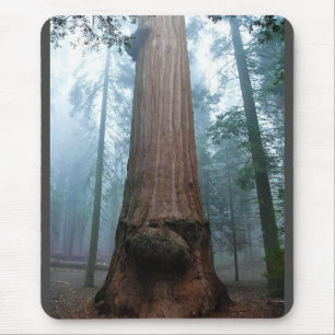 Alfombrilla De Ratón Árbol de secuoyas gigantes en Grant Grove, CA