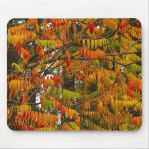 Alfombrilla De Ratón Árbol de zumaque en color de otoño en Whitefish,