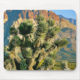Alfombrilla De Ratón Árbol del cactus