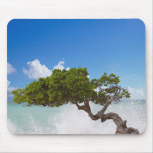 Alfombrilla De Ratón Árbol Divi Divi, Playa Eagle, Aruba, Caribe