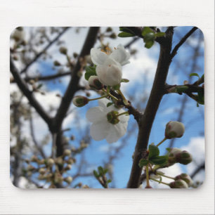 Alfombrilla De Ratón Árbol en flor