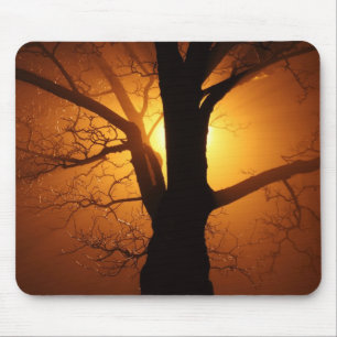 Alfombrilla De Ratón Árbol en niebla en Mousepad nocturno