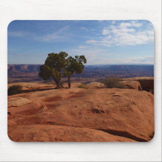 Alfombrilla De Ratón Árbol fuera de las rocas rojas I en Canyonlands