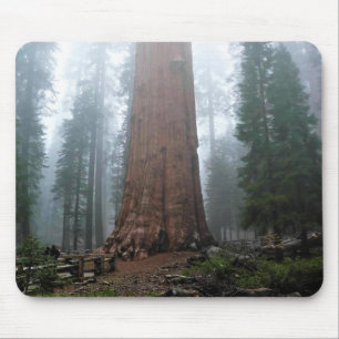 Alfombrilla De Ratón Árbol general Sherman, Sequoia, CA
