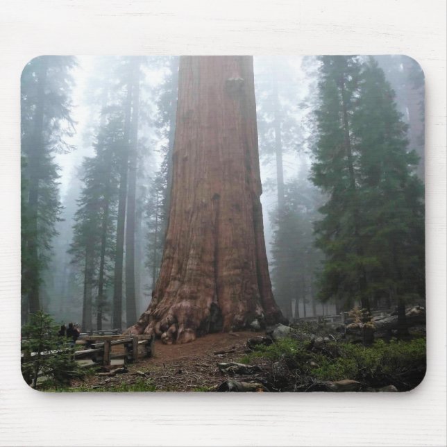 Alfombrilla De Ratón Árbol general Sherman, Sequoia, CA (Frente)