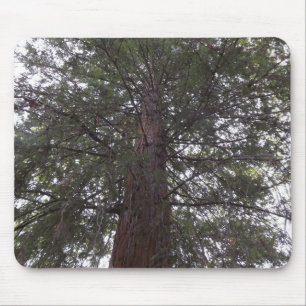 Alfombrilla De Ratón Árbol magnífico