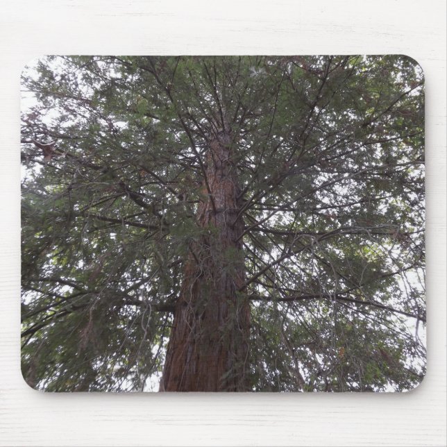 Alfombrilla De Ratón Árbol magnífico (Frente)