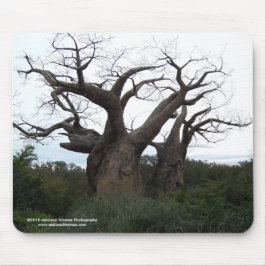 Alfombrilla De Ratón Árbol Mousepad del baobab