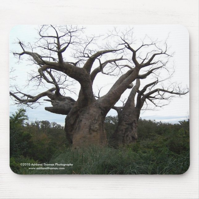 Alfombrilla De Ratón Árbol Mousepad del baobab (Frente)